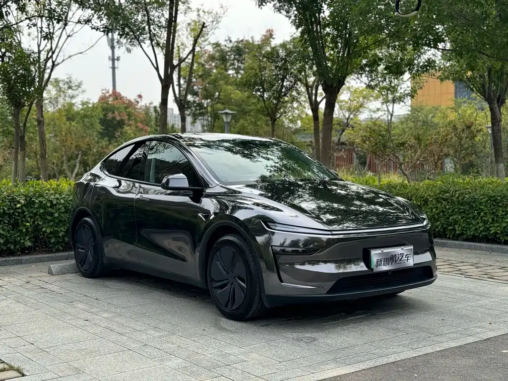 Tesla Model Y — миниатюра 3
