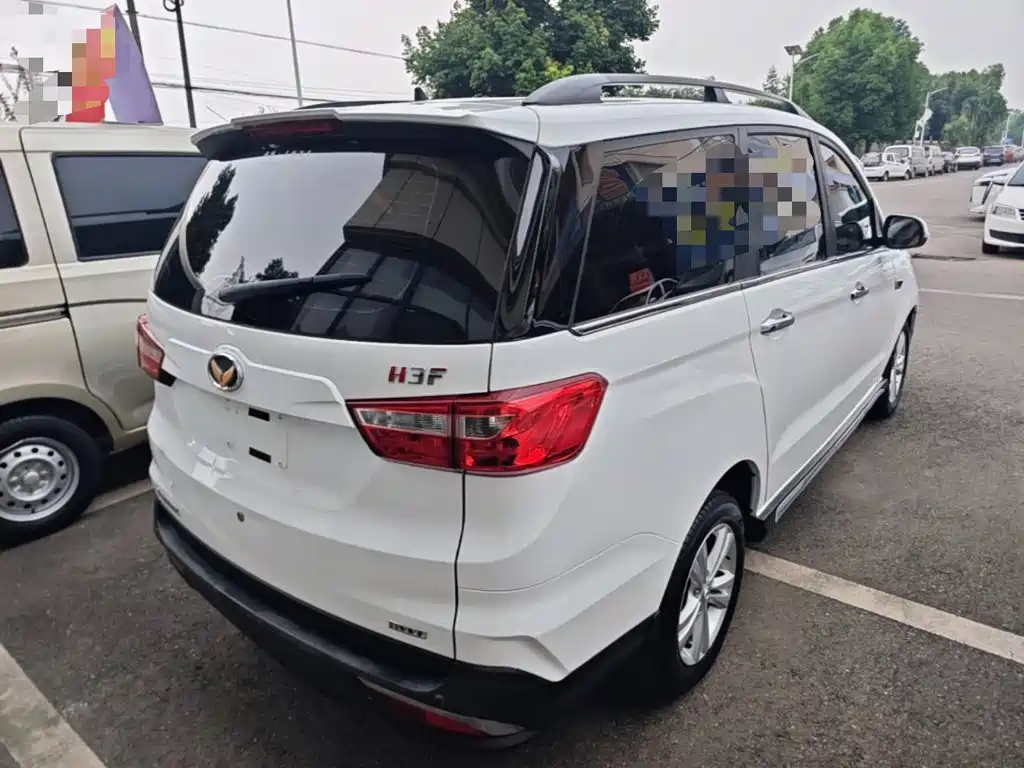 Huasu Huansu H3 — миниатюра 7