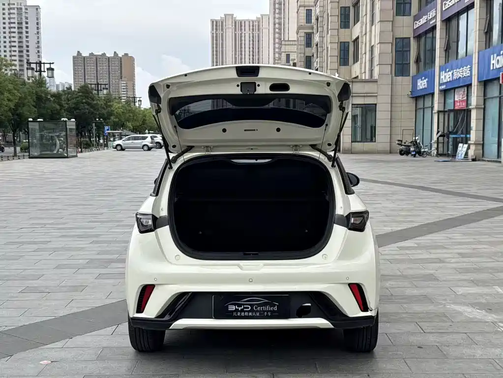 BYD Dolphin — миниатюра 18