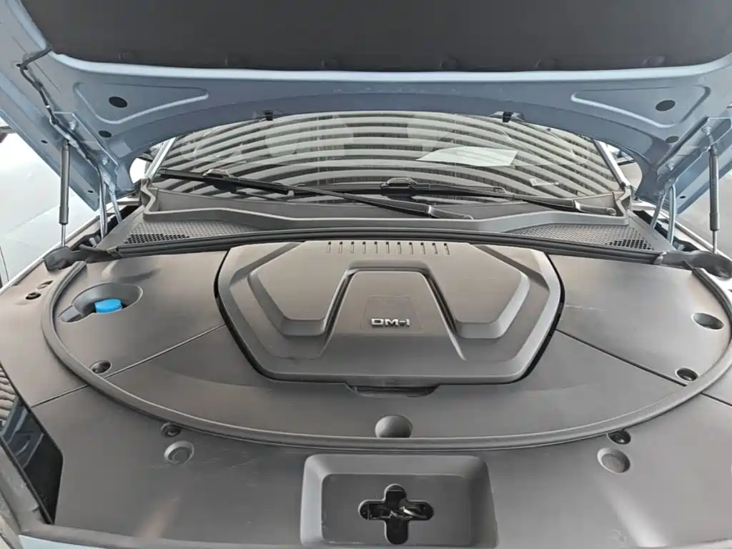 BYD PLUS New Energy — миниатюра 20