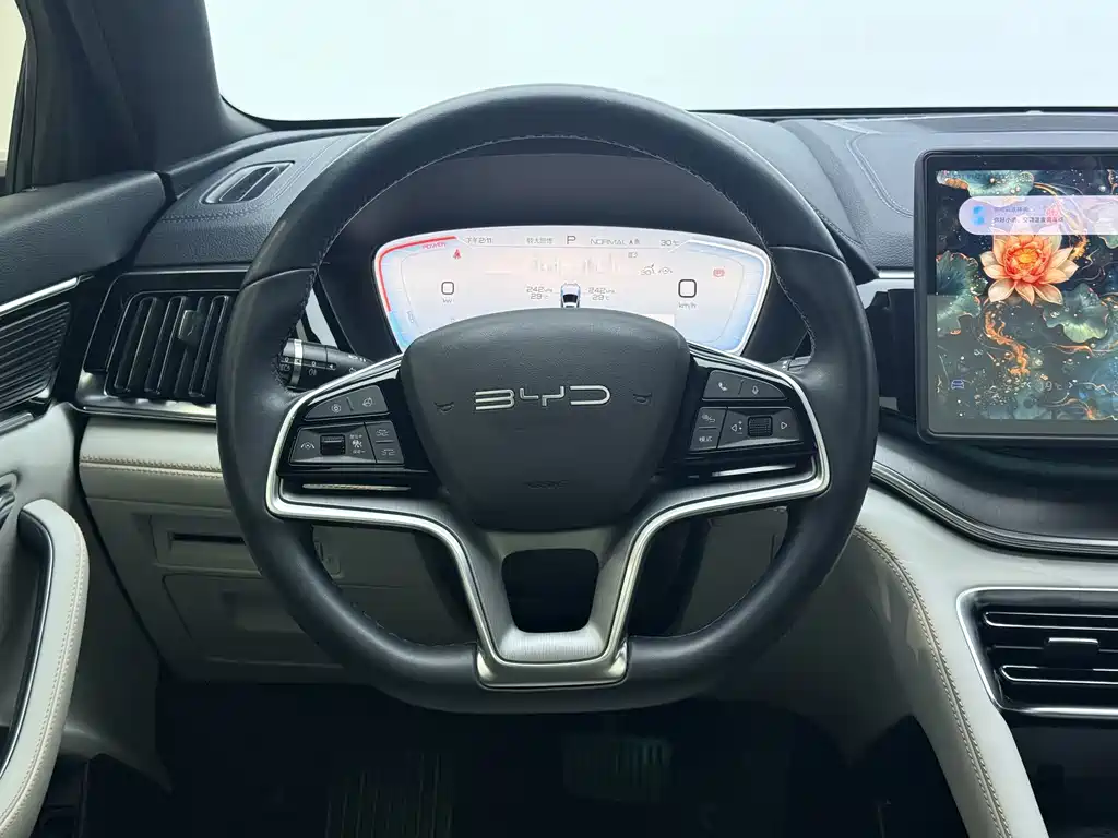 BYD PLUS New Energy — миниатюра 8