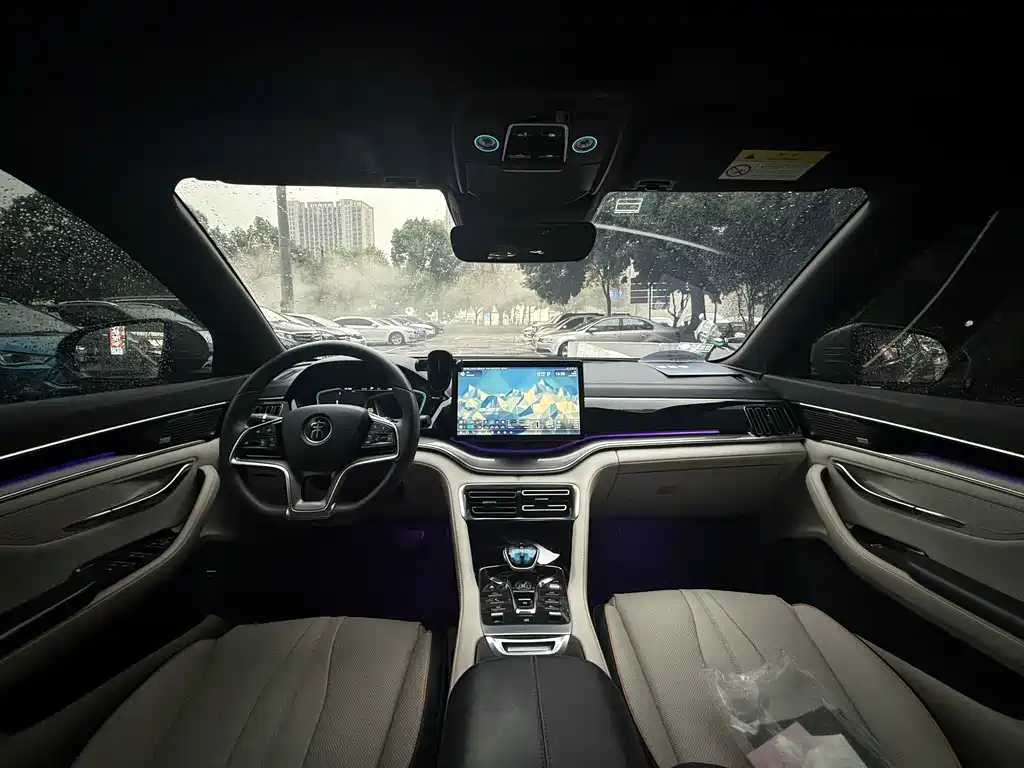 BYD PLUS New Energy — миниатюра 13