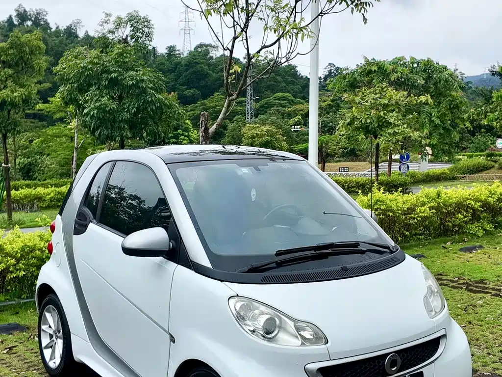 smart Smart Fortwo — миниатюра 41