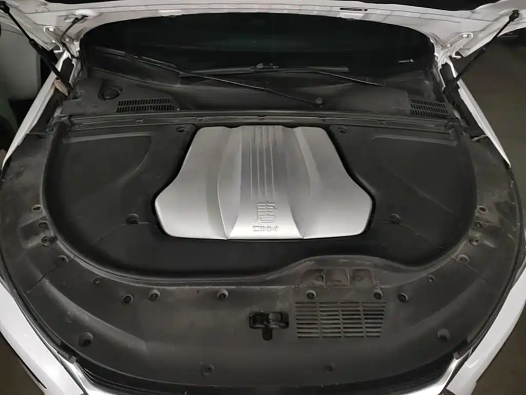 BYD Tang New Energy — миниатюра 20