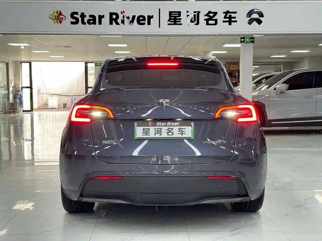 Tesla Model Y — миниатюра 6