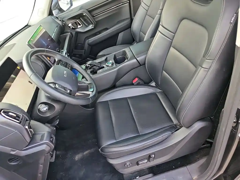 Haval Big Dog PLUS New Energy — миниатюра 15