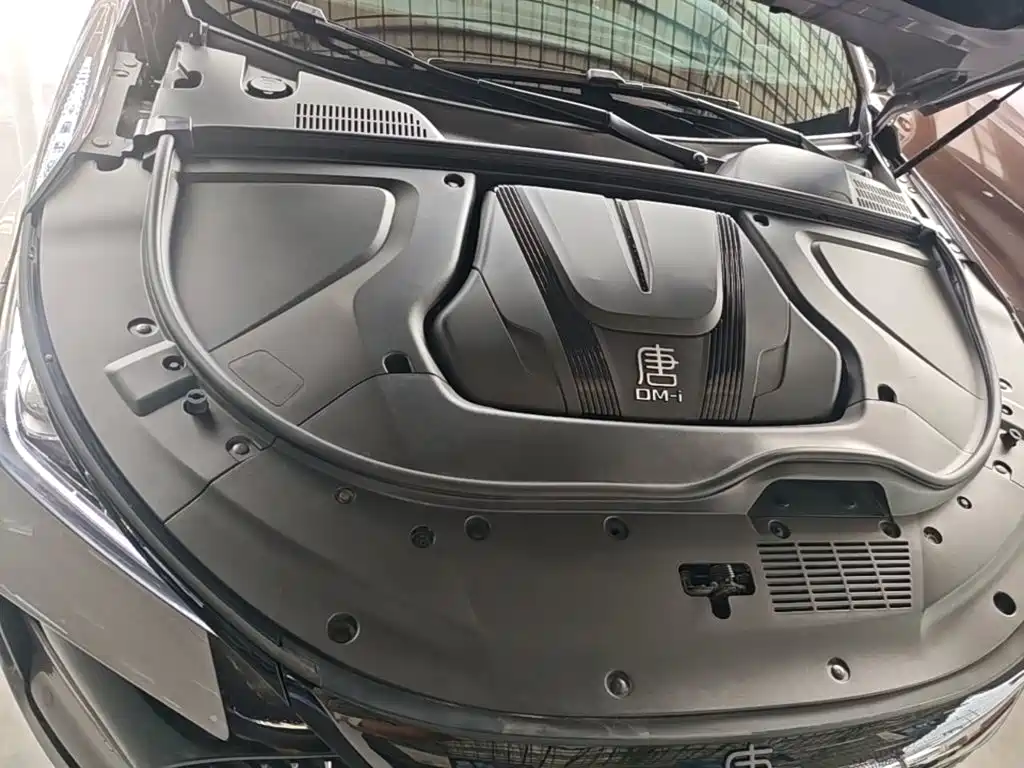 BYD Tang New Energy — миниатюра 20
