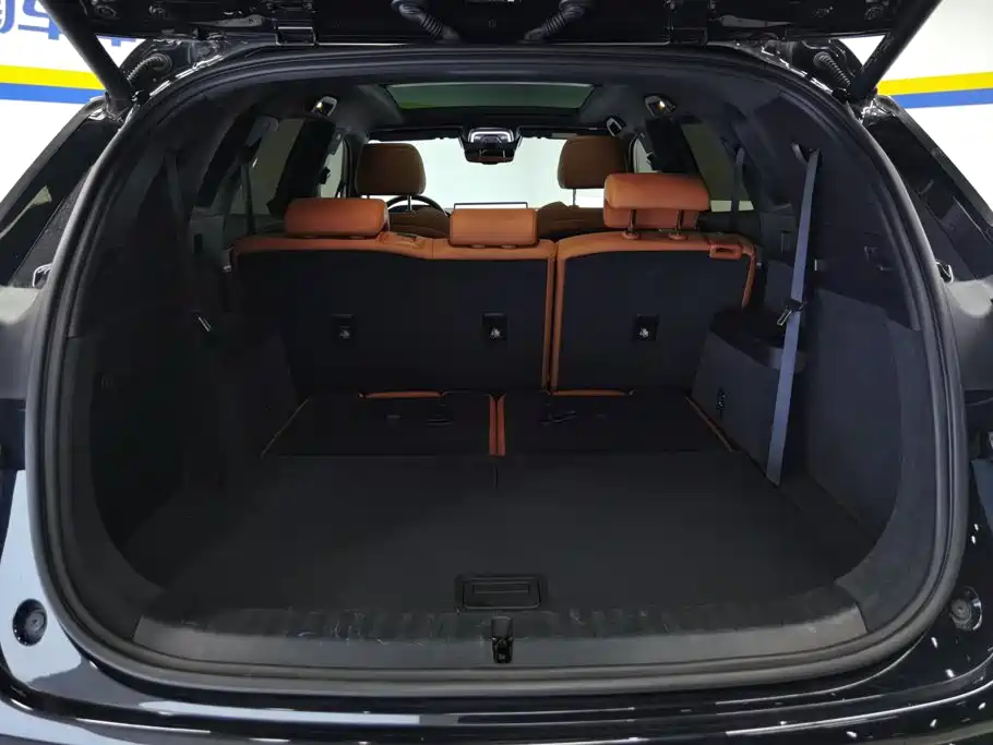 BYD Tang New Energy — миниатюра 4