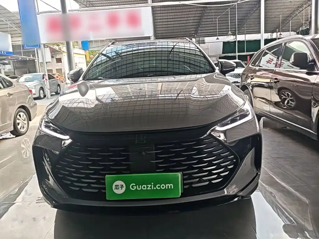 BYD Tang New Energy — миниатюра 3