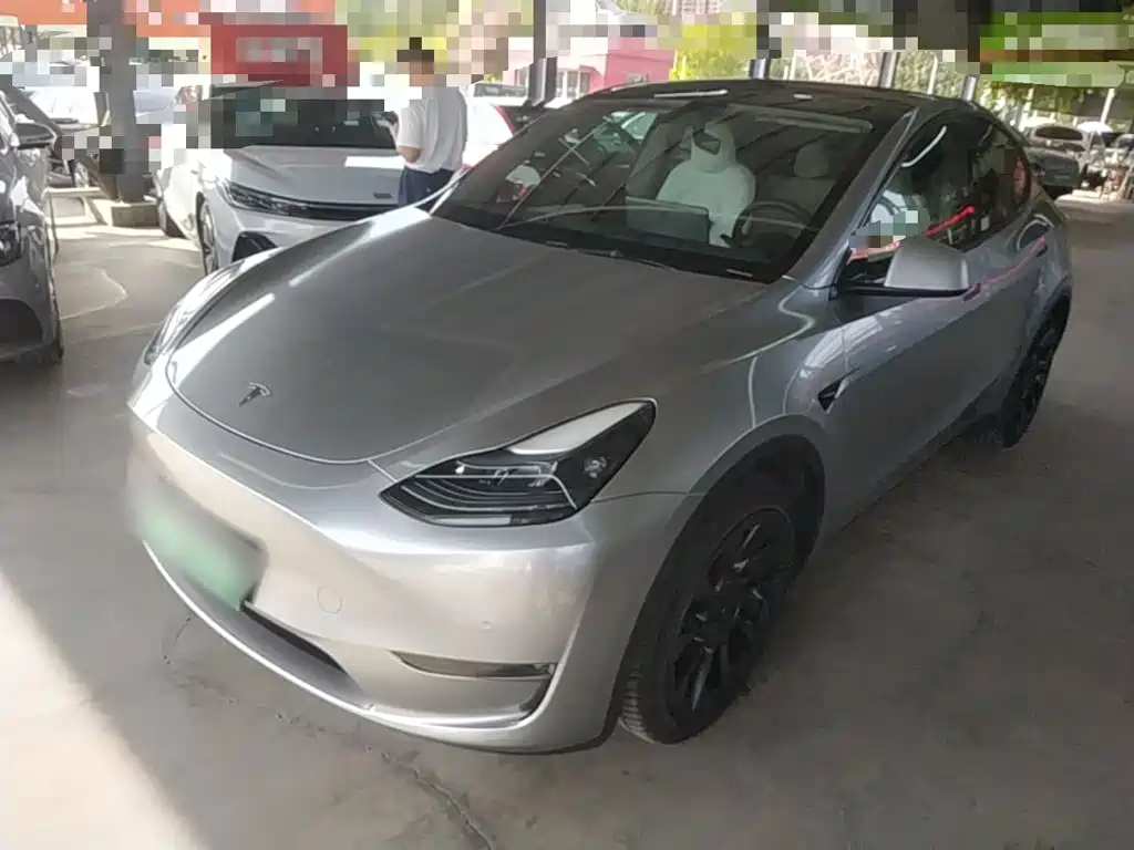 Tesla Model Y — миниатюра 2