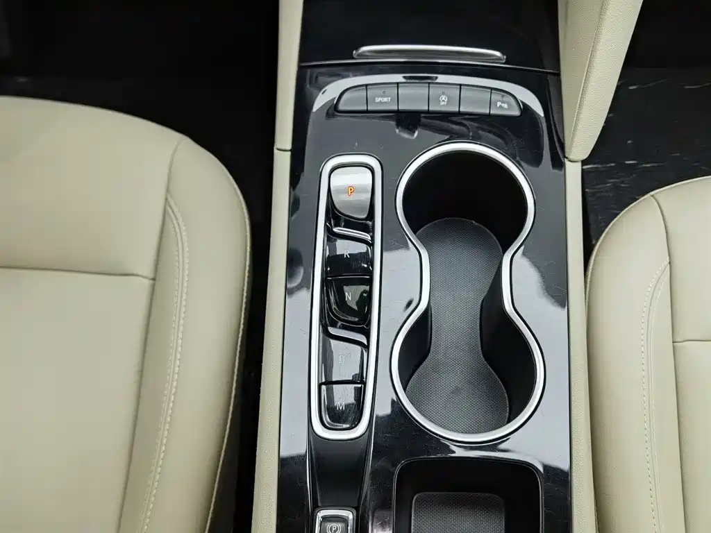 Buick Regal — миниатюра 13