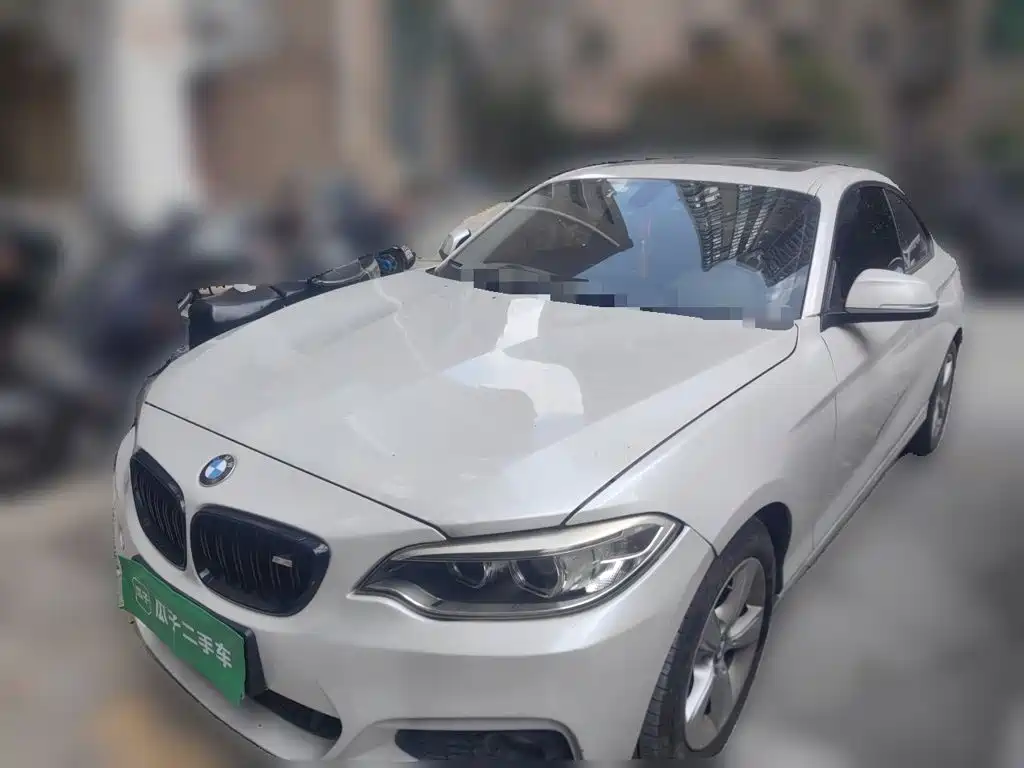 BMW 2 Series (Import)