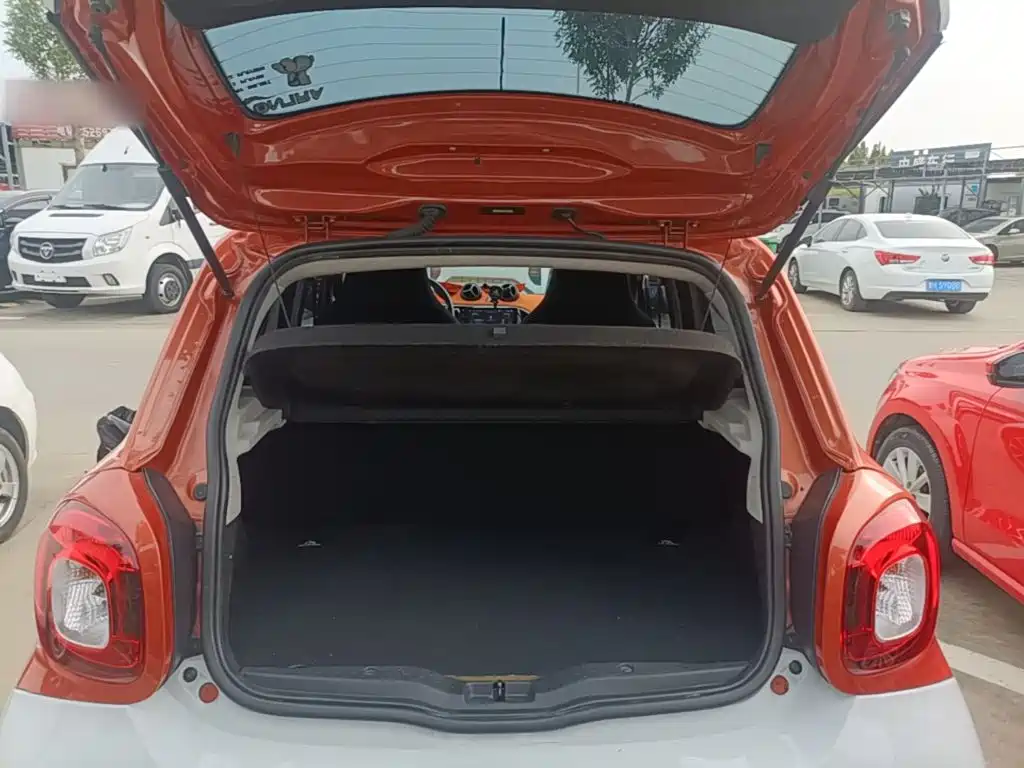 smart Smart Forfour — миниатюра 19