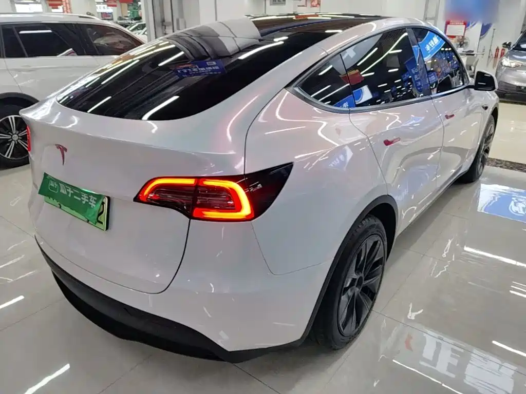 Tesla Model Y — миниатюра 7