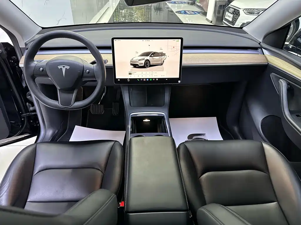 Tesla Model Y — миниатюра 6