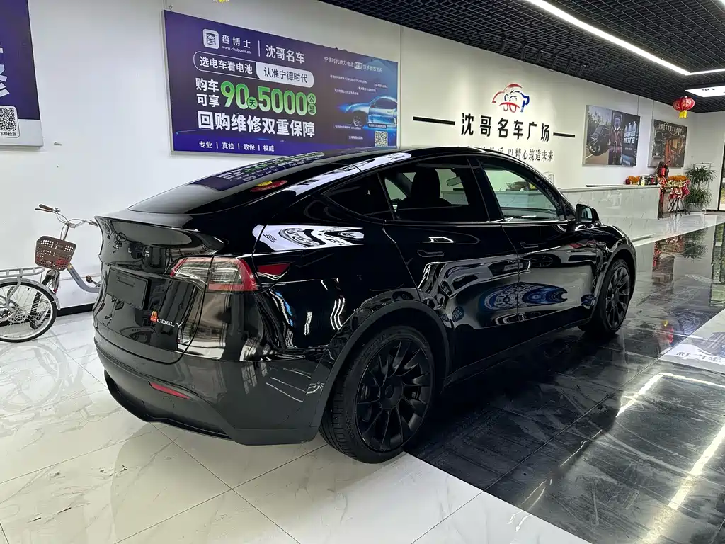 Tesla Model Y — миниатюра 9