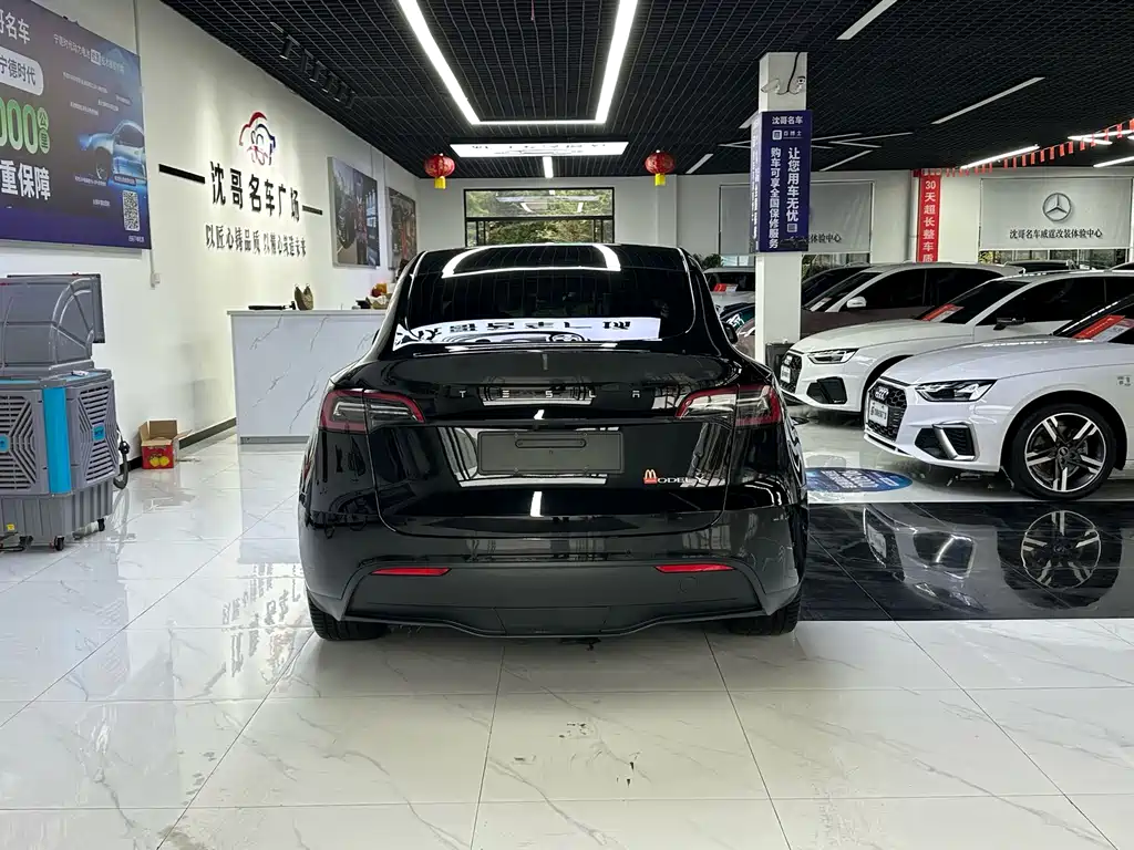 Tesla Model Y — миниатюра 8