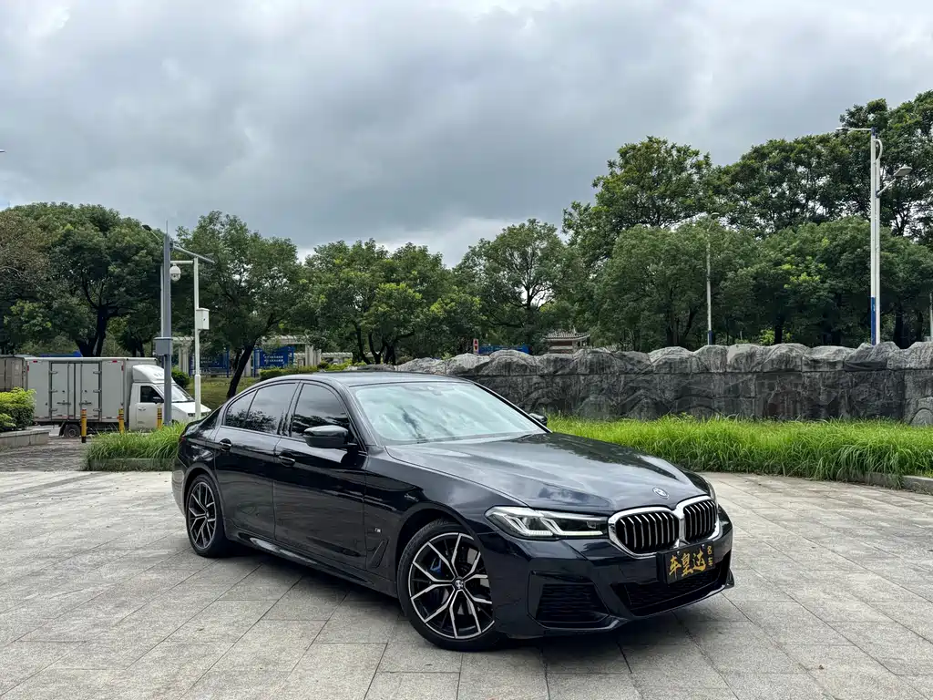 BMW 5 Series (Import) — миниатюра 3