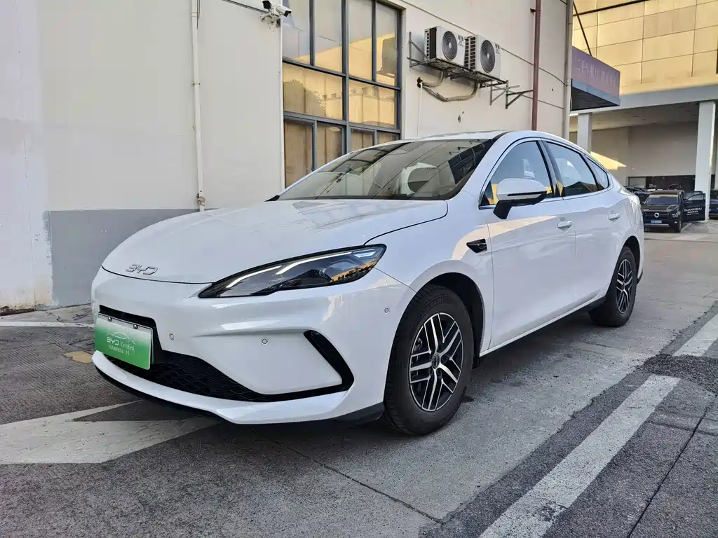 2025 BYD Sea Lion - zdjęcie 1 z 15