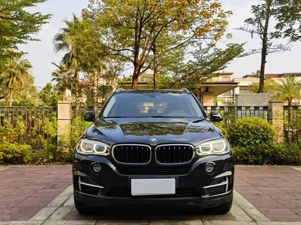 BMW X5 (Import) — миниатюра 2