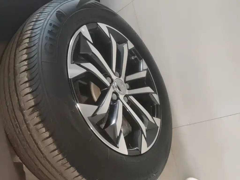 Haval Big Dog — миниатюра 23
