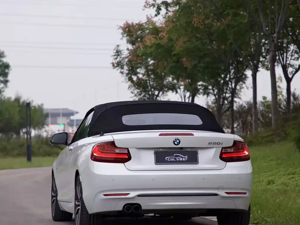 BMW 2 SERIES