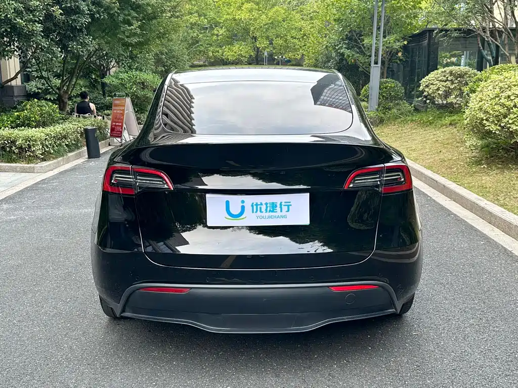 Tesla Model Y — миниатюра 5