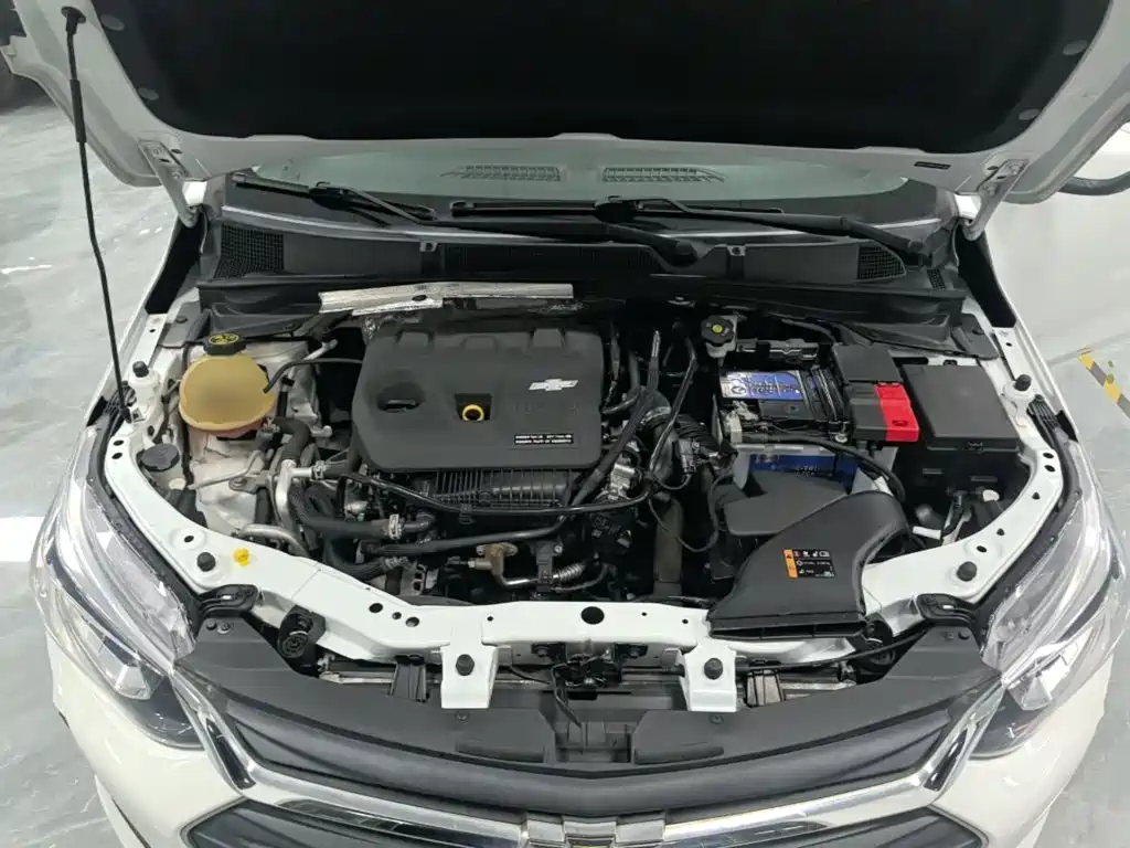 Chevrolet Cavalier — миниатюра 20