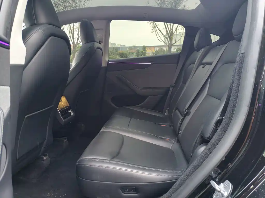 Tesla Model Y — миниатюра 5