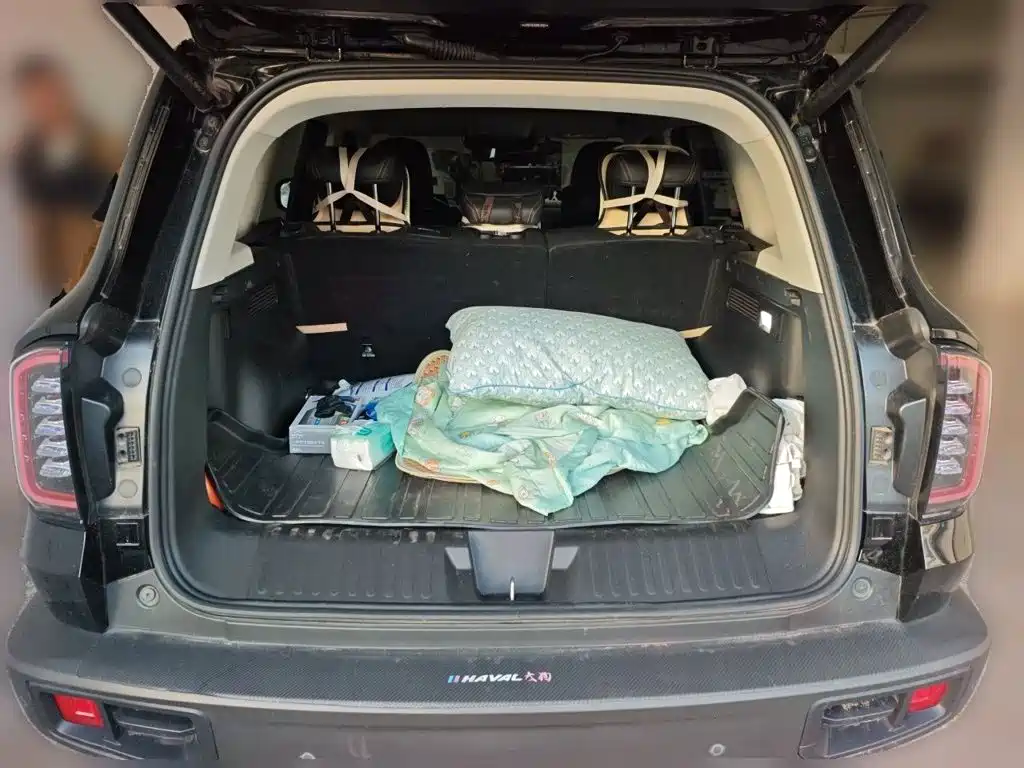 Haval Big Dog — миниатюра 15
