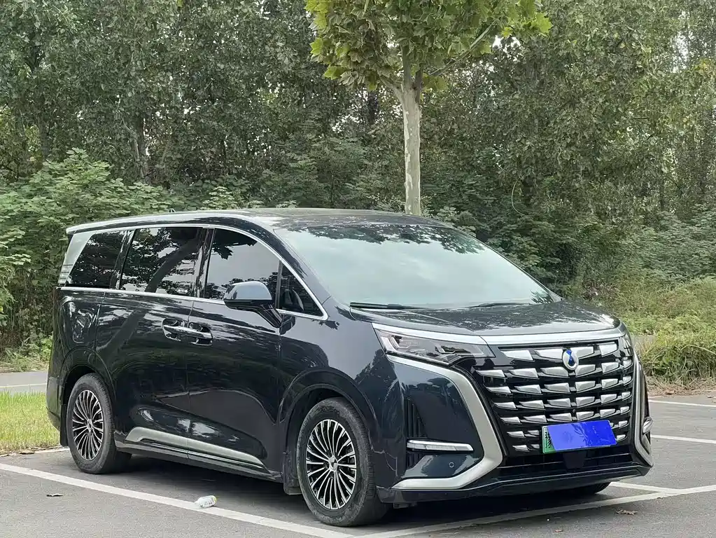 Denza Denza D9 — миниатюра 3