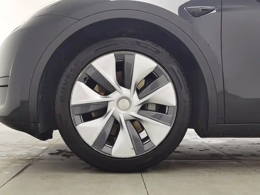 Tesla Model Y — миниатюра 17