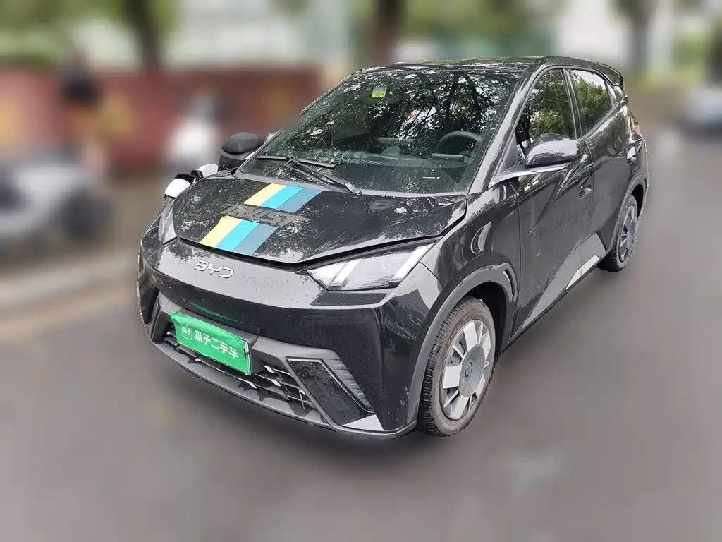 BYD Seagull