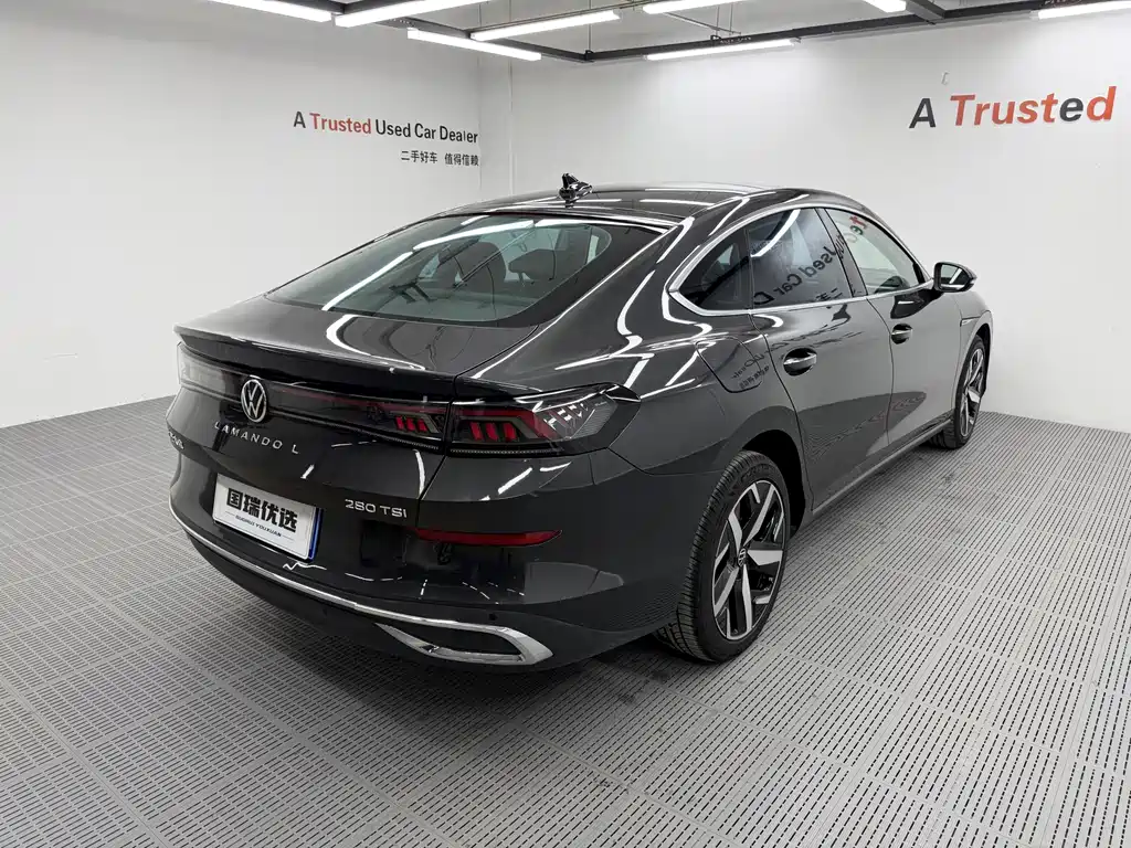 Volkswagen Lamando — миниатюра 4