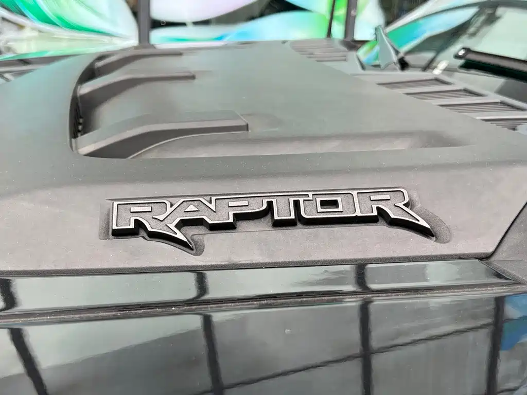 Ford F-150 Raptor — миниатюра 19