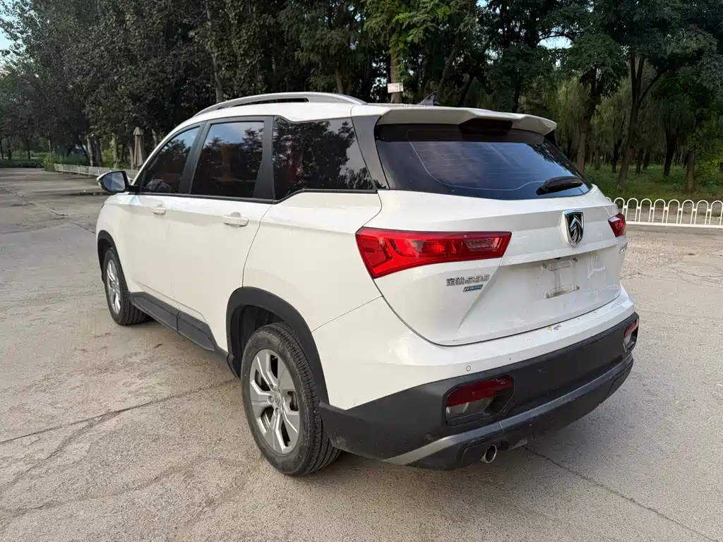 BAOJUN 530