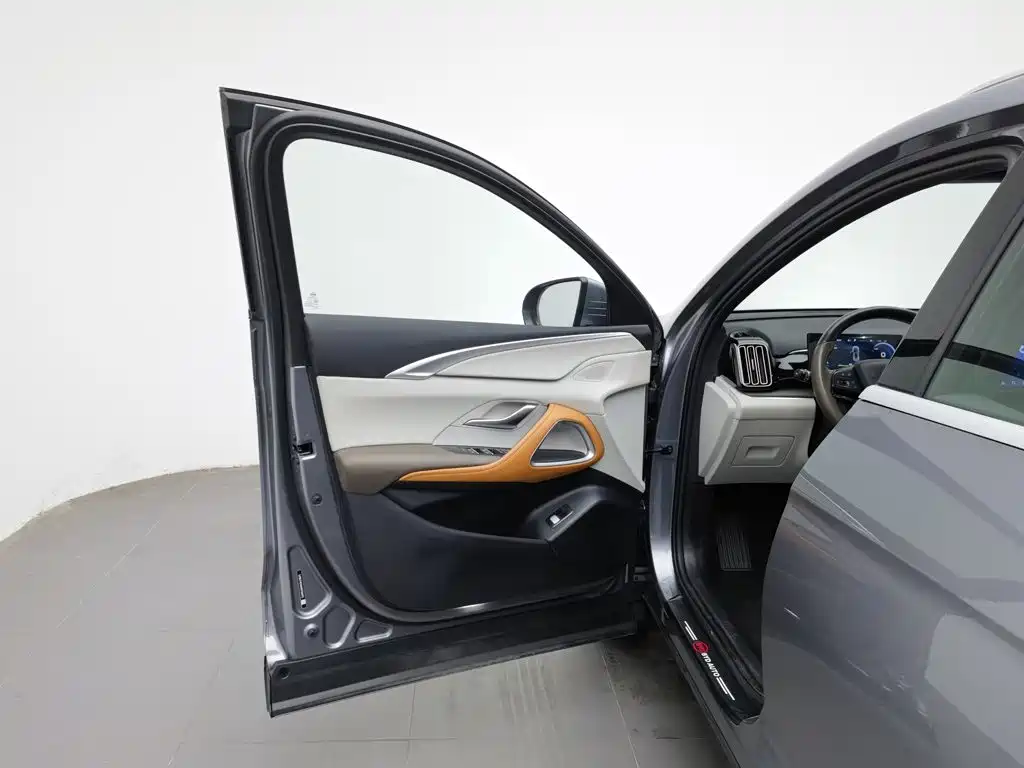 BYD Pro New Energy — миниатюра 8