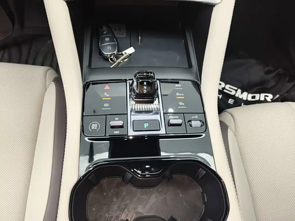 BYD PLUS New Energy — миниатюра 14