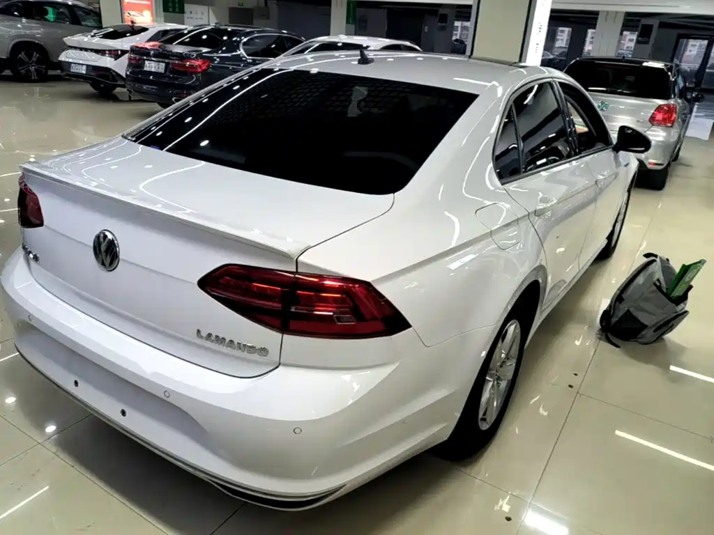 Volkswagen Lamando — миниатюра 7