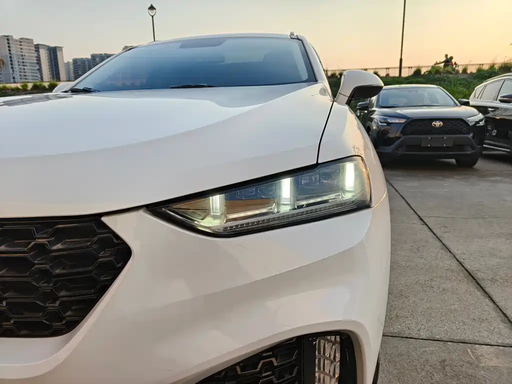 WEI PAI WEI BRAND VV7