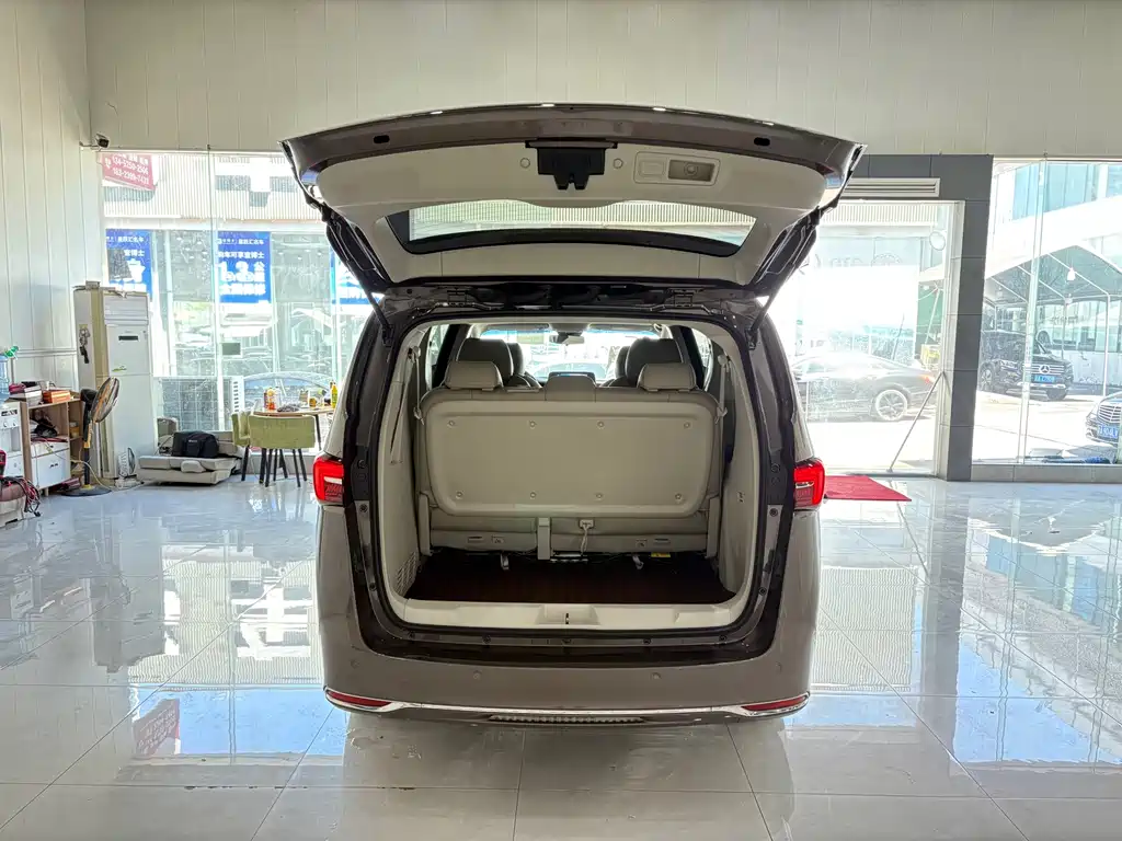 Buick GL8 — миниатюра 18