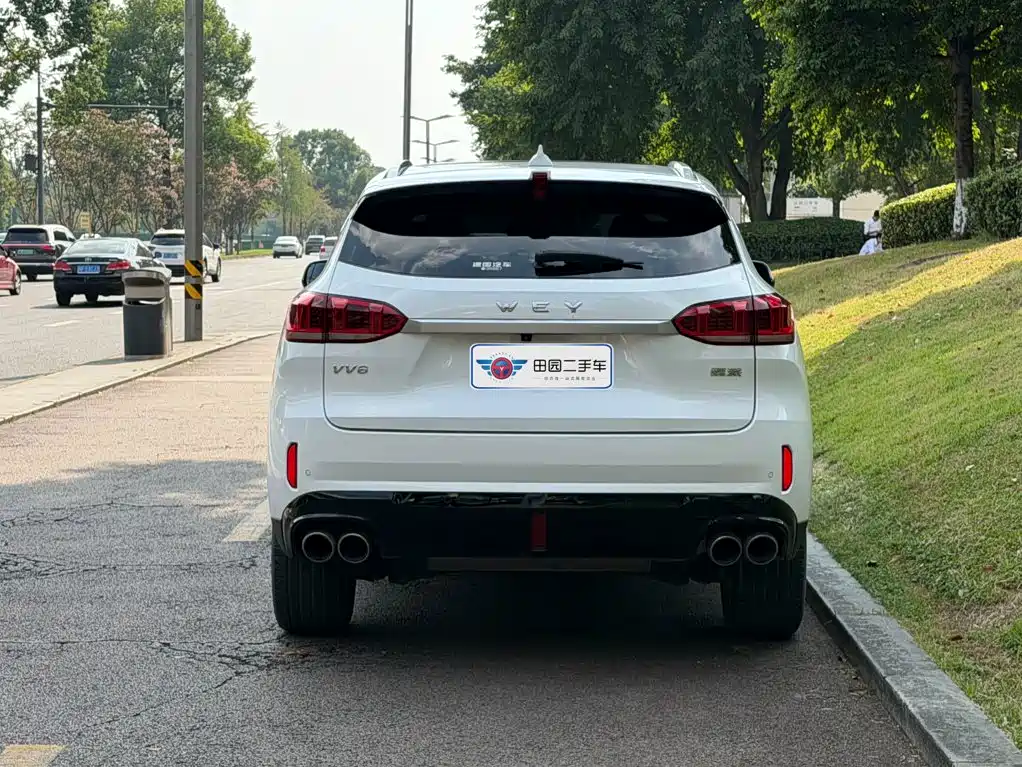 Wey Wey VV6 — миниатюра 5