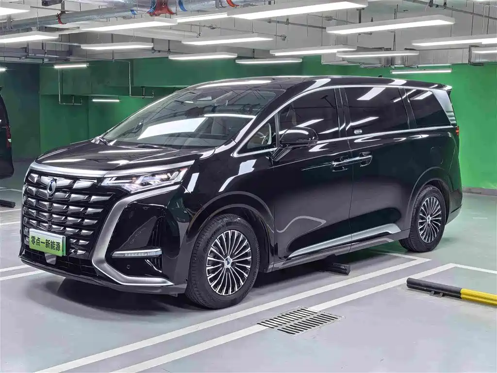 Denza Denza D9