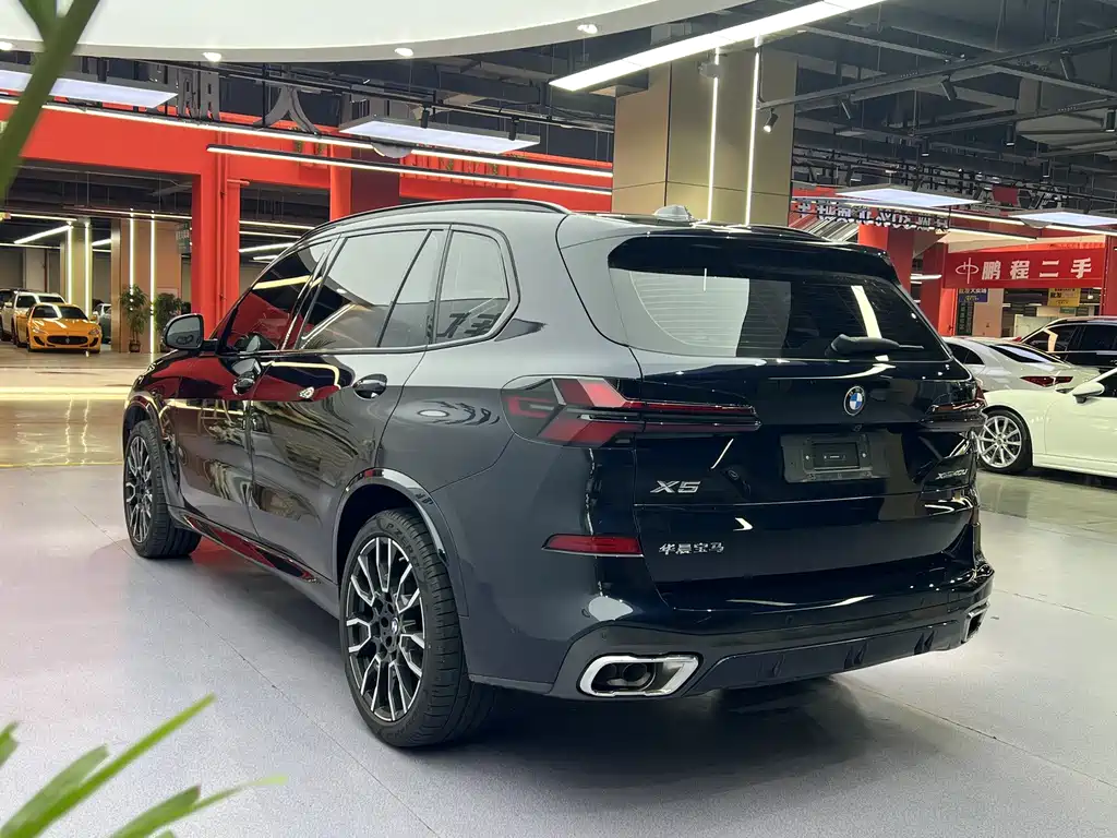BMW X5 — миниатюра 16