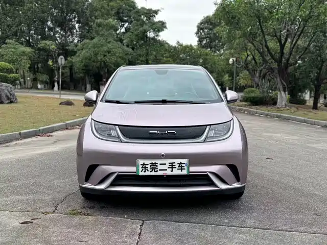 BYD DOLPHIN 2022