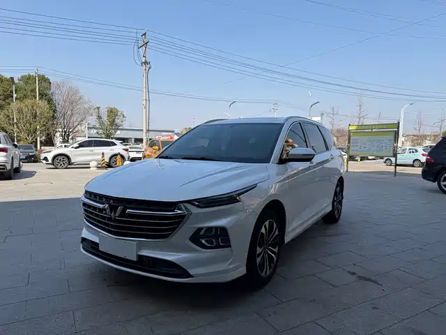 2020 Wuling Motors Victory