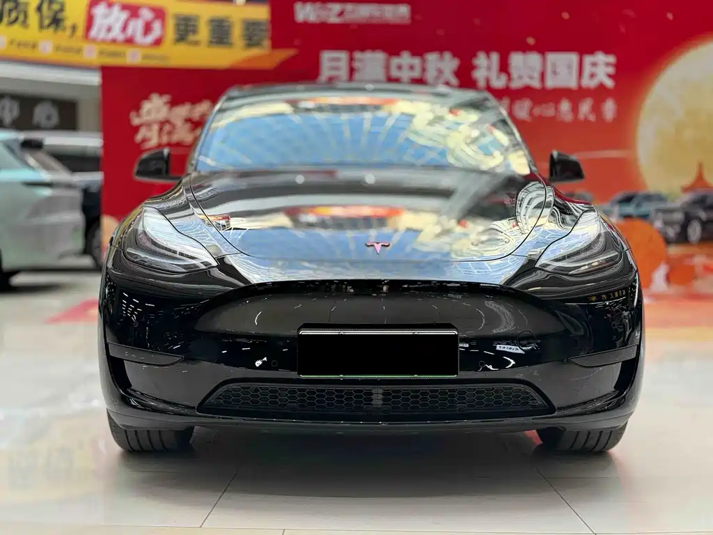 Tesla Model Y — миниатюра 2
