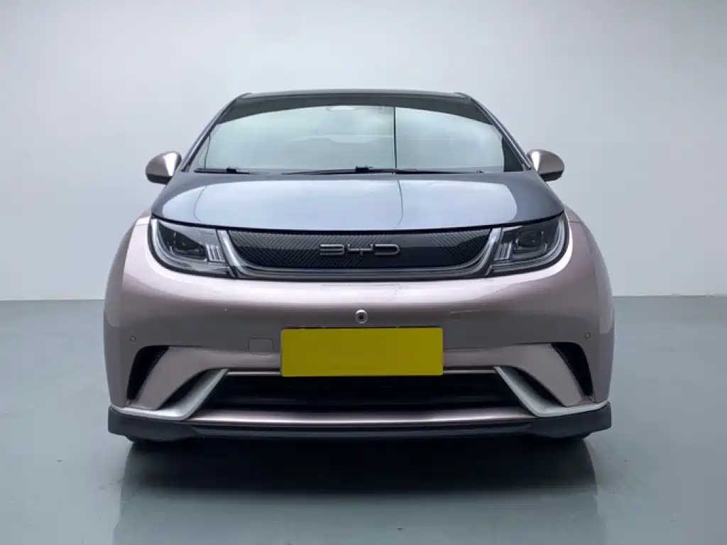 BYD Dolphin — миниатюра 2