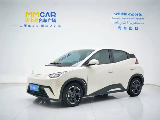 2023 BYD Seagull