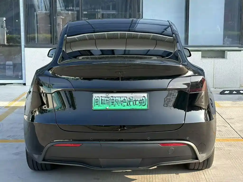 Tesla Model Y — миниатюра 5